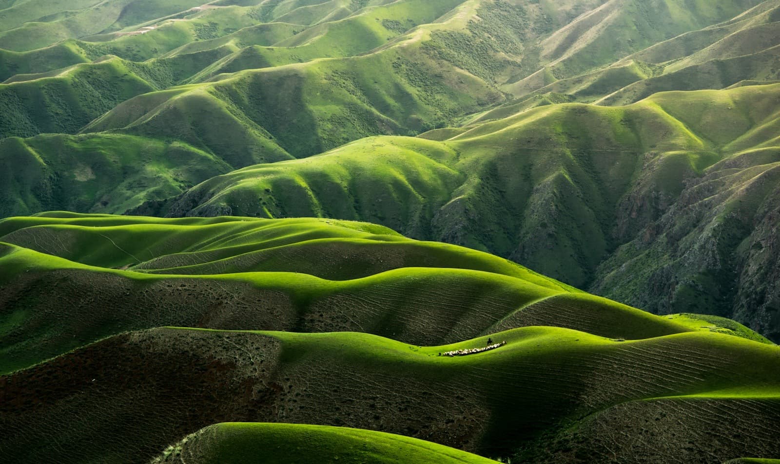 New Zealand snow-capped mountains with lush green valleys below