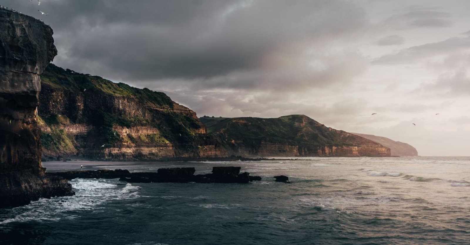 Coastal cliffs meeting the ocean in the Catlins, New Zealand