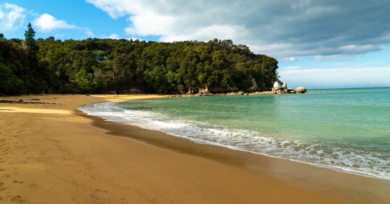 Golden-sand beach and clear water in Abel Tasman, New Zealand
