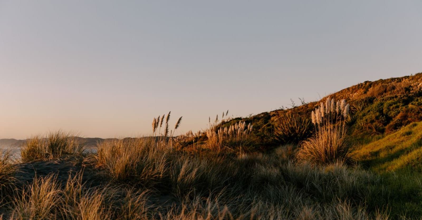 Sunset over the black-sand beach at Raglan, New Zealand