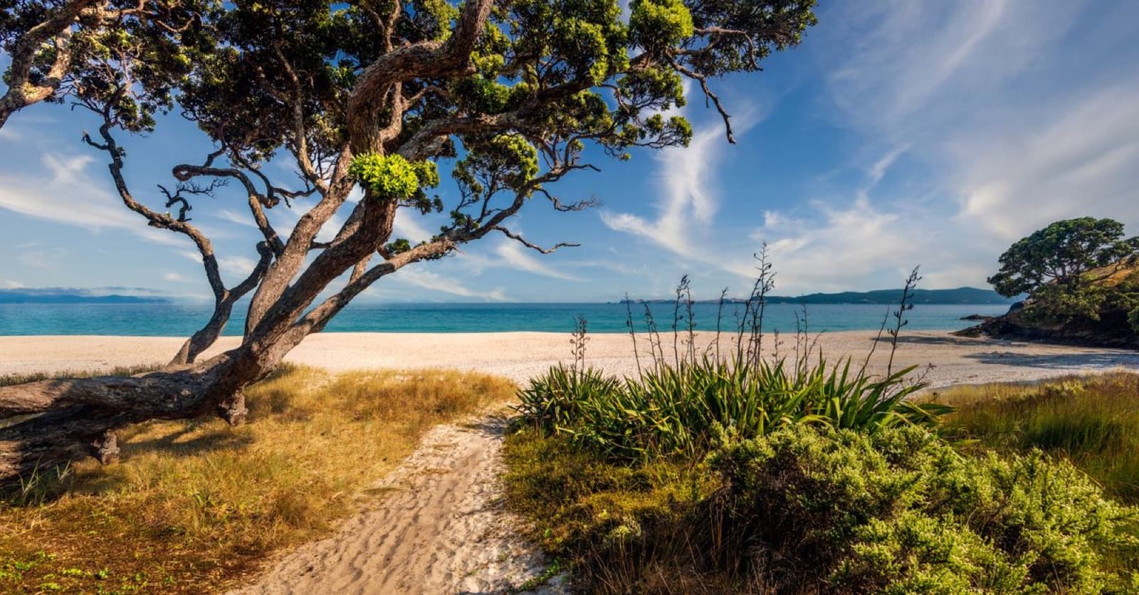 White-sand surf beach on New Zealand's coast