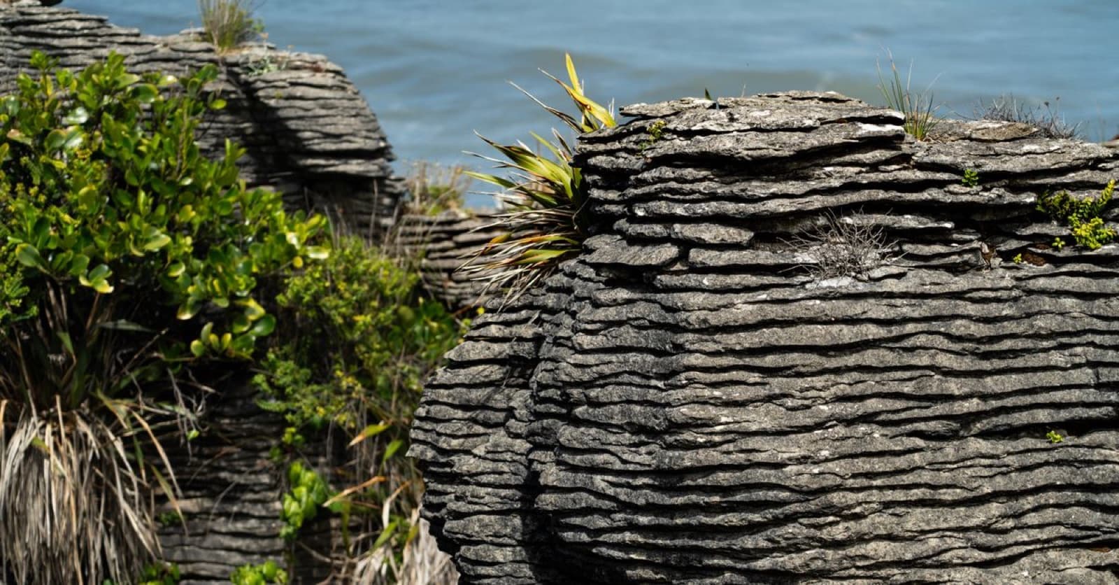The layered Pancake Rocks at Punakaiki on New Zealand's West Coast