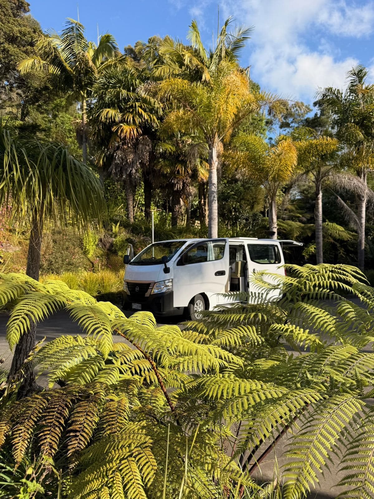 The Pīwakawaka campervan parked among New Zealand tree ferns and palms