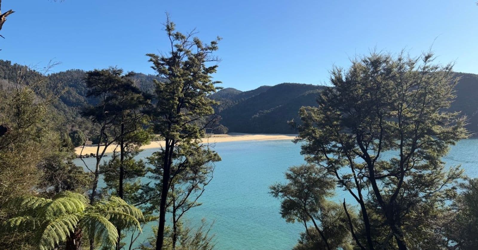 Abel Tasman National Park met gouden stranden in Nieuw-Zeeland