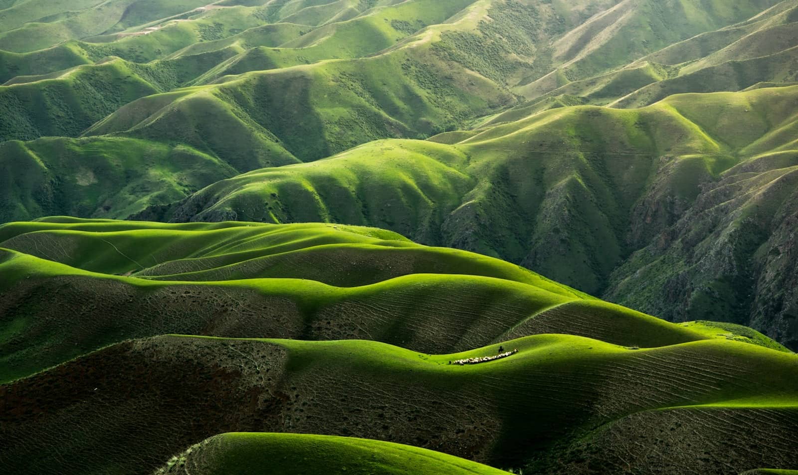 New Zealand snow-capped mountains with lush green valleys below