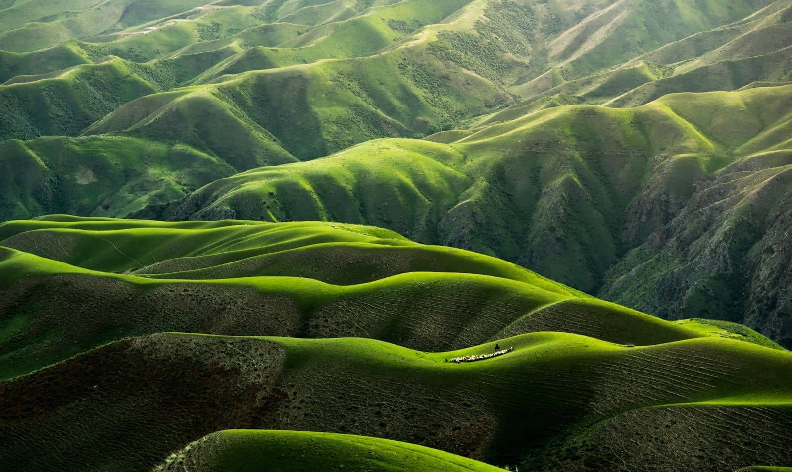 New Zealand snow-capped mountains with lush green valleys below