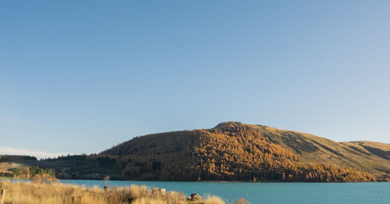 Herfstkleuren langs Lake Tekapo in Nieuw-Zeeland
