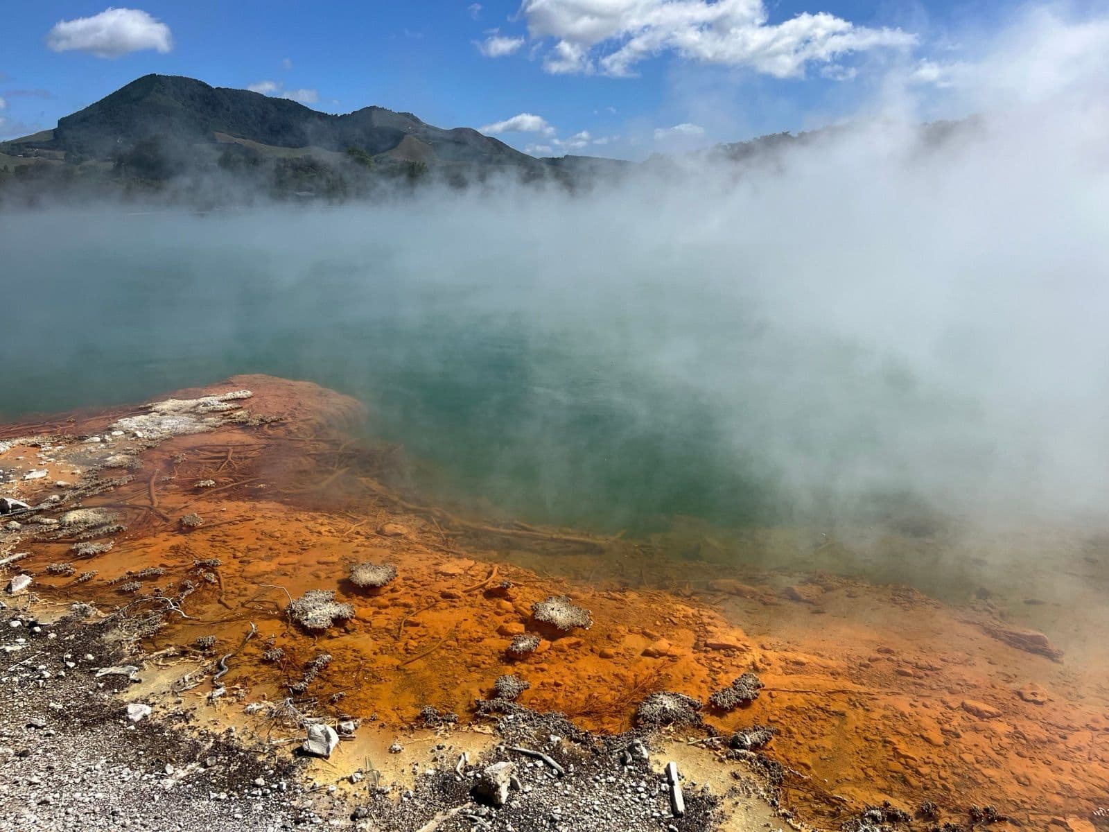 Dampende geothermische bron met oranje mineraalranden bij Rotorua op het Noordereiland van Nieuw-Zeeland