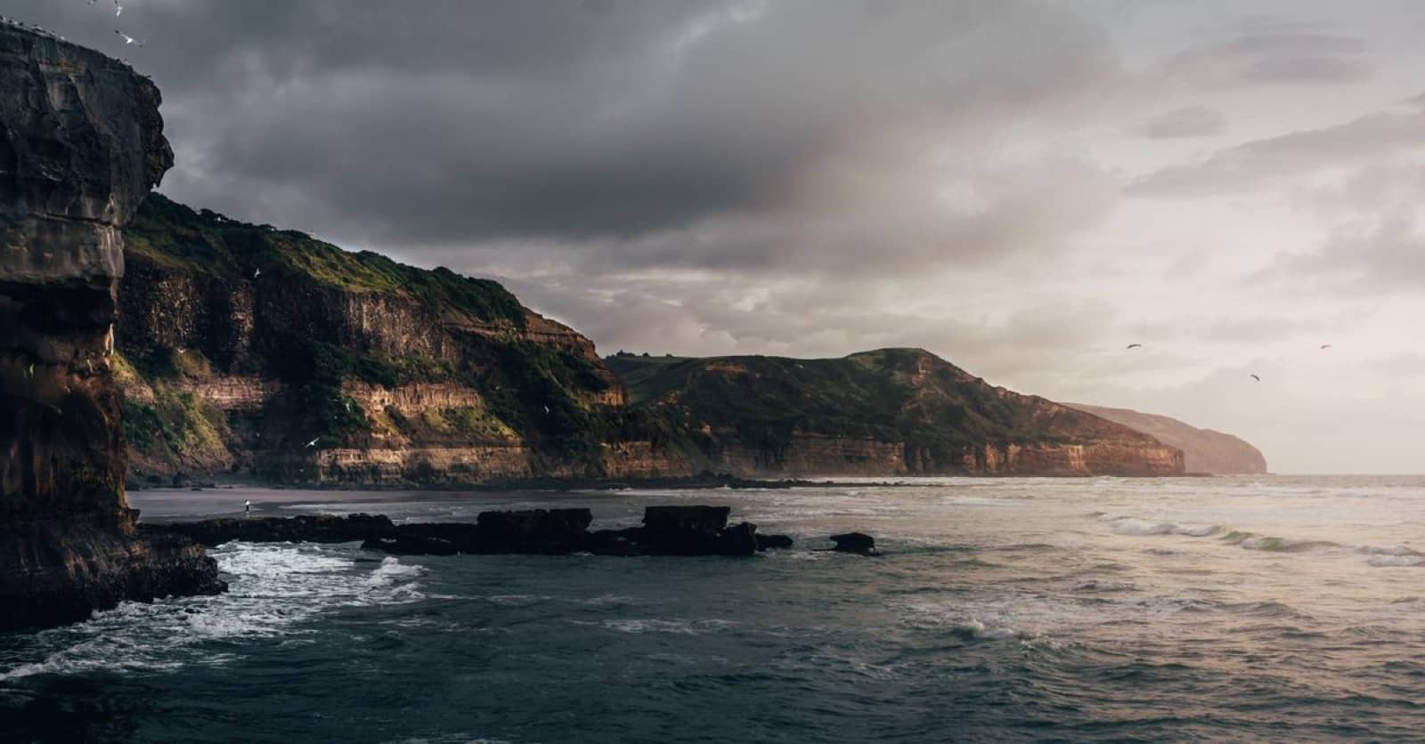 Coastal cliffs meeting the ocean in the Catlins, New Zealand