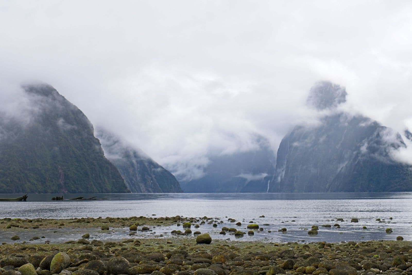 Milford Sound met mistige bergen in Fiordland, Nieuw-Zeeland