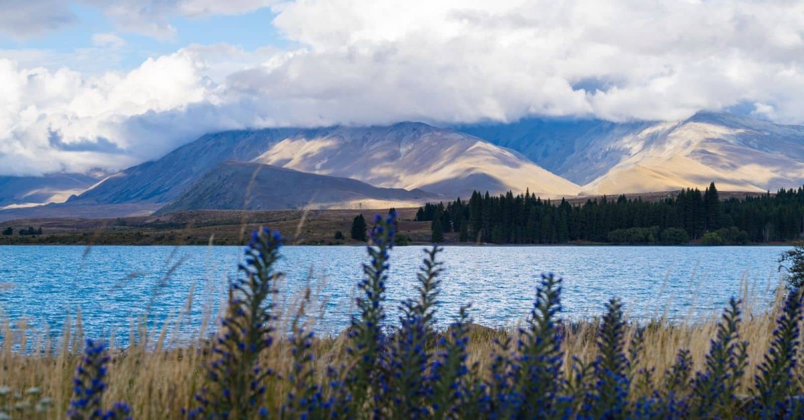 Lake Tekapo met besneeuwde bergen in Nieuw-Zeeland