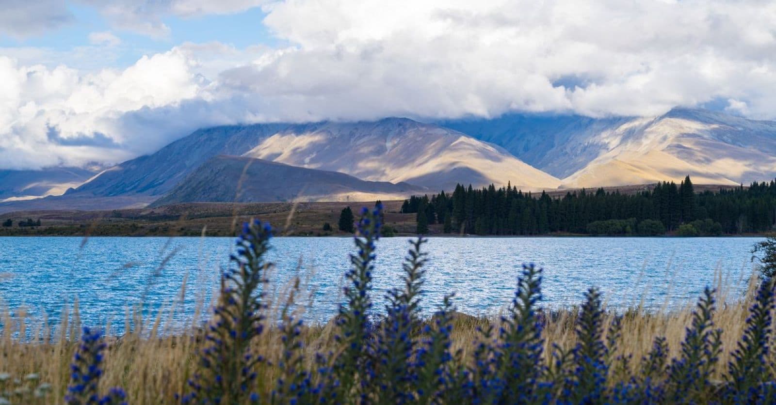 Lake Tekapo met besneeuwde bergen in Nieuw-Zeeland