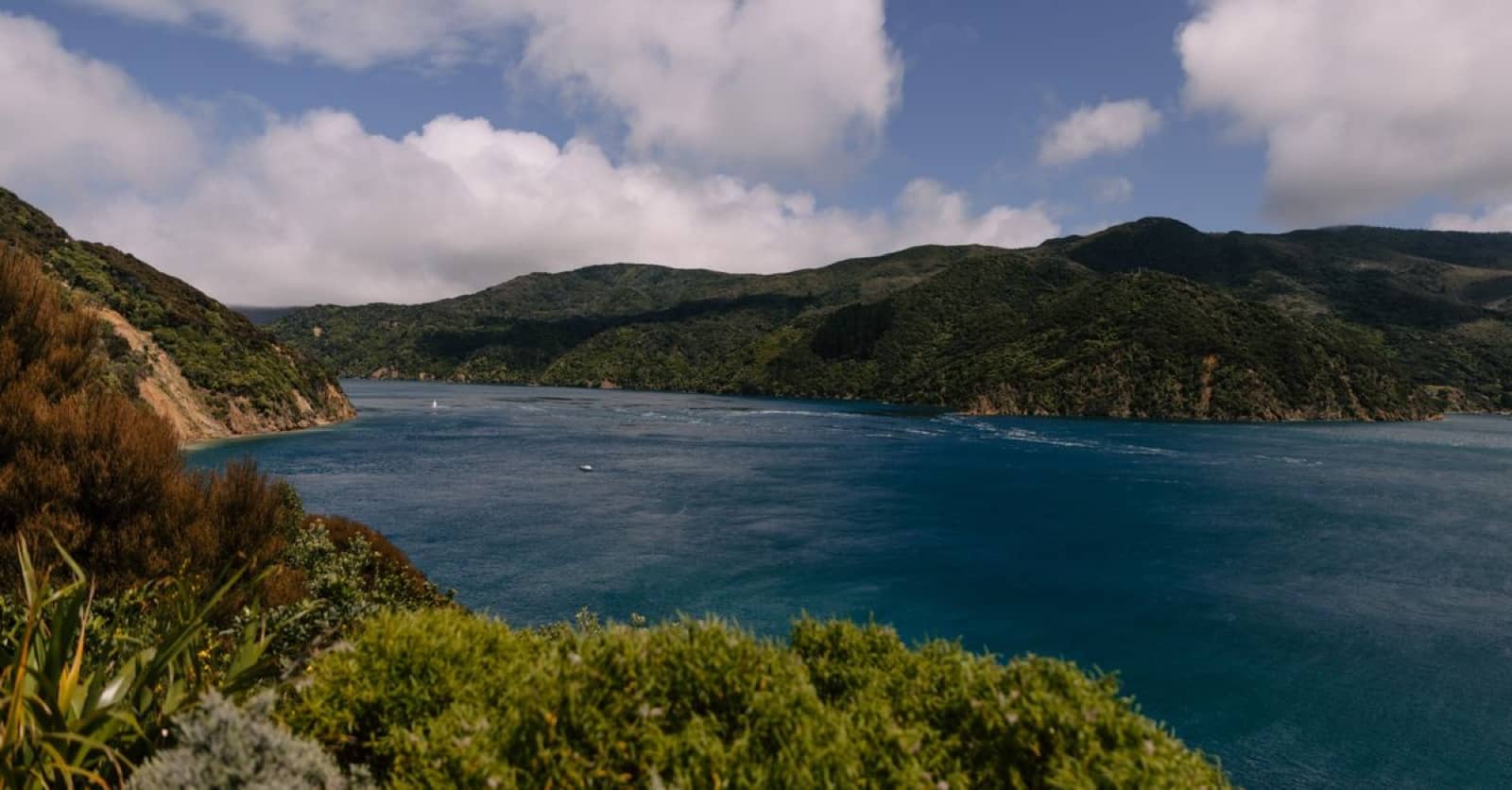 De groene fjorden van de Marlborough Sounds in Nieuw-Zeeland