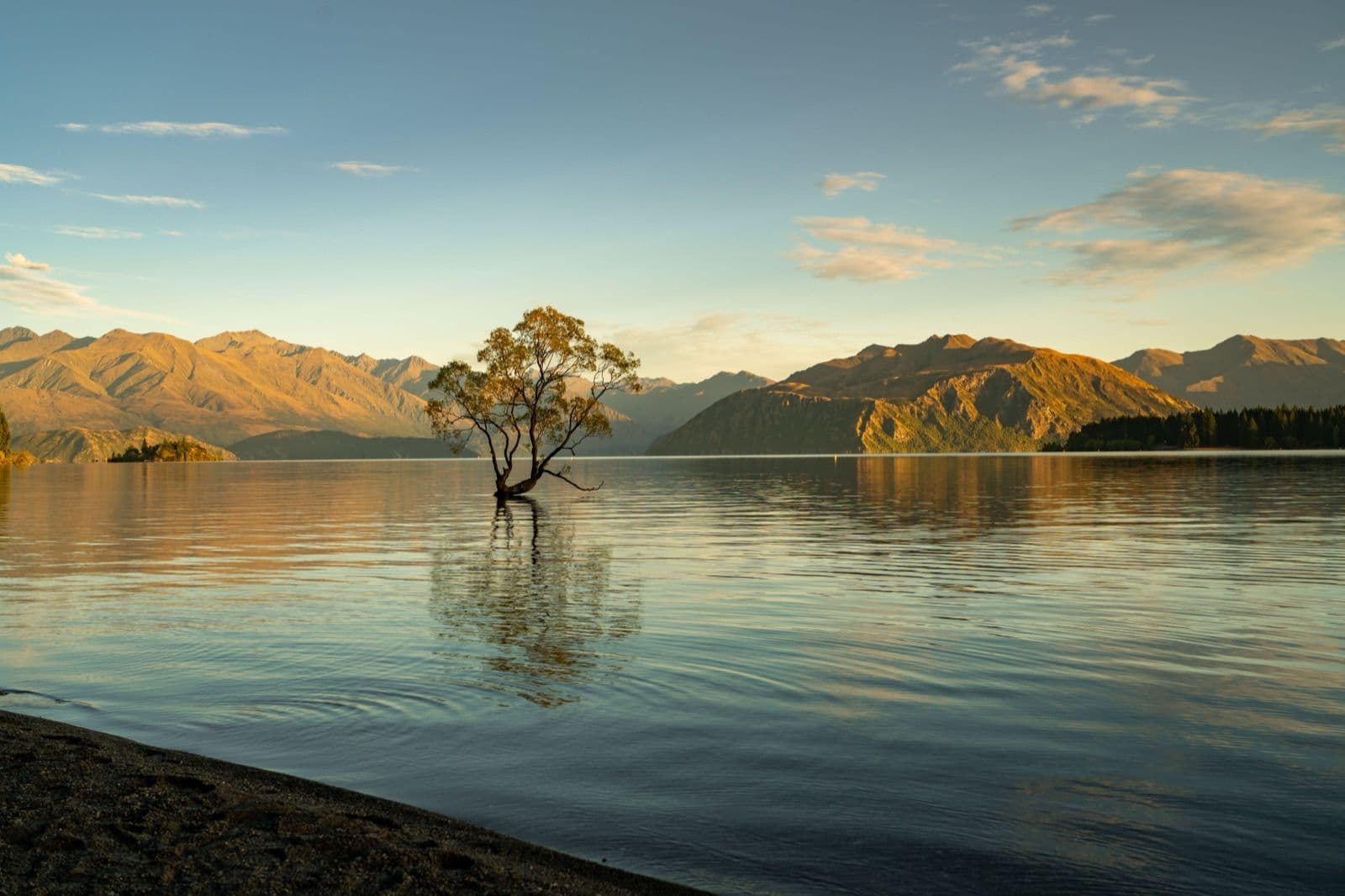 Lake Wānaka mit dem einzelnen Baum und Bergen im Hintergrund