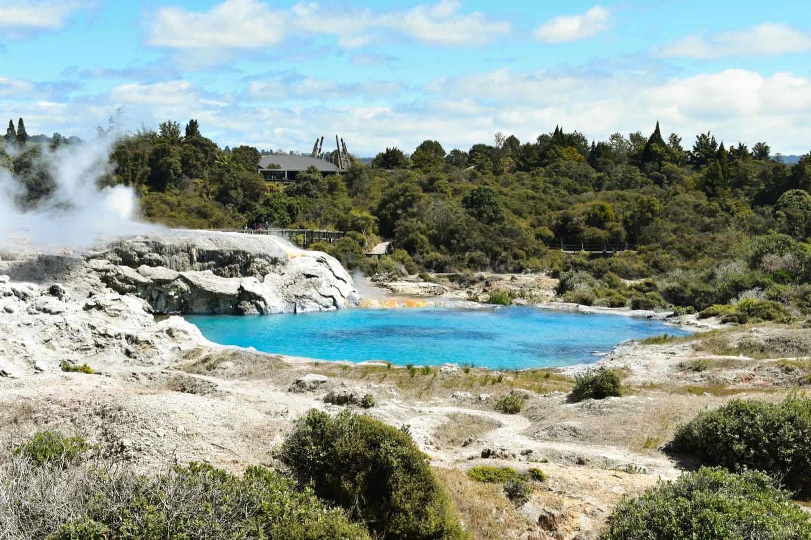 Steaming geothermal pool at Rotorua on New Zealand's North Island, the heart of the country's volcanic zone