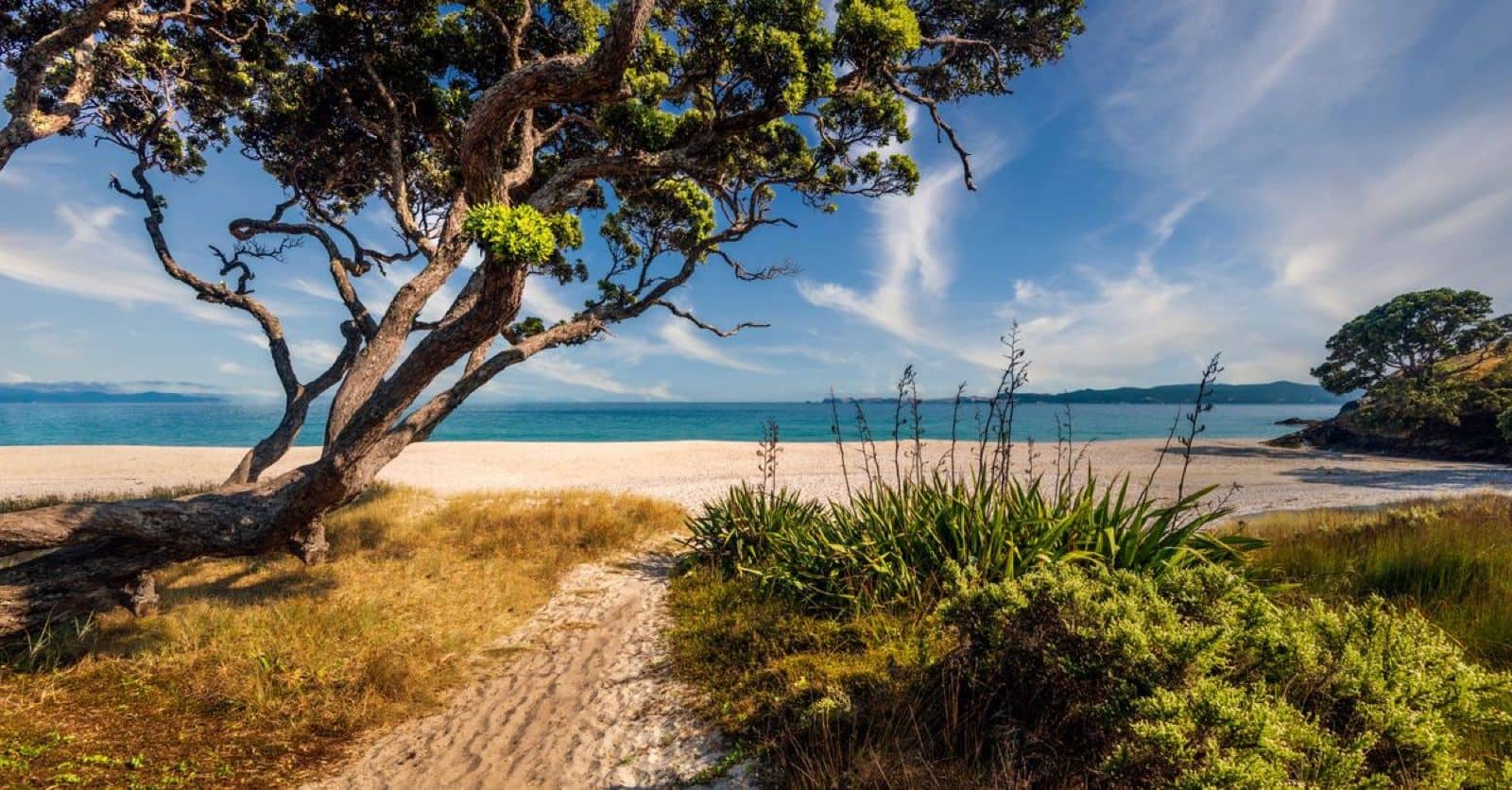 White-sand surf beach on New Zealand's coast