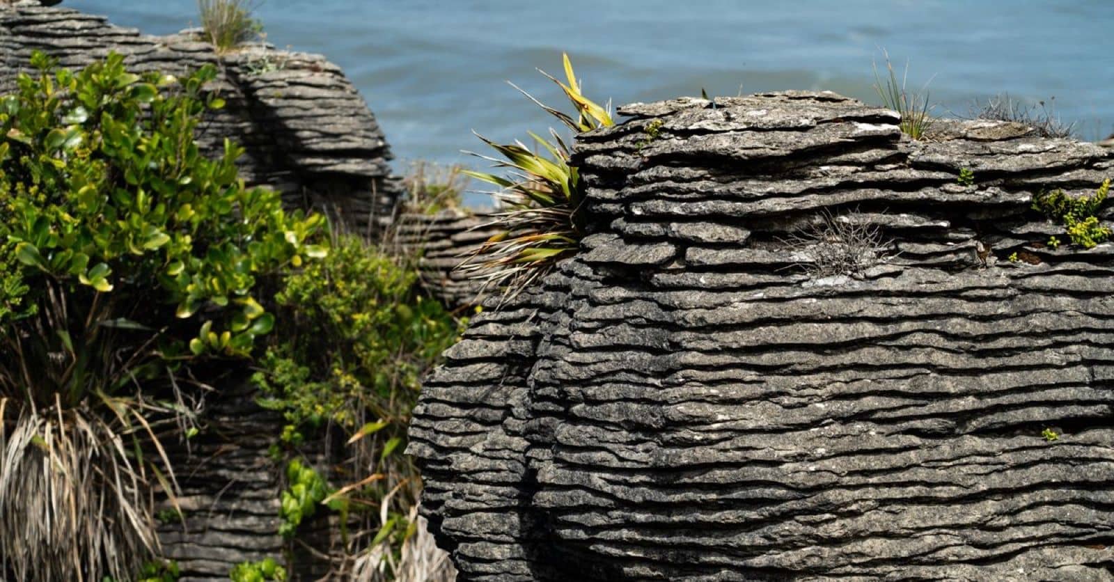 The layered Pancake Rocks at Punakaiki on New Zealand's West Coast
