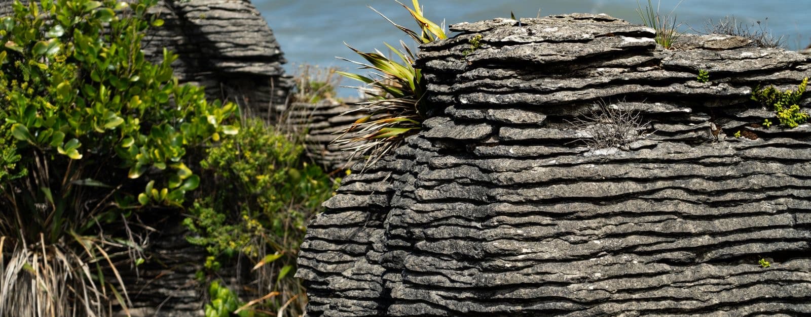 Pancake Rocks on New Zealand's West Coast